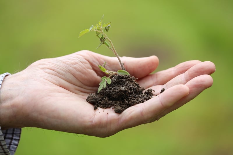 Eco-Friendly Planting